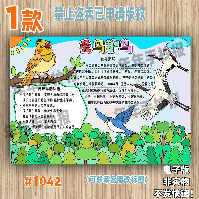 1042国际爱鸟护鸟日手抄报小学生保护爱护鸟类电子版小报线稿4K8K