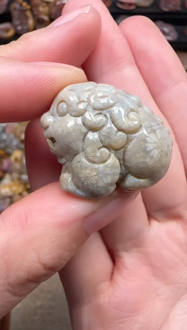 颈饰未镶嵌硅化珊瑚（珊瑚玉）785