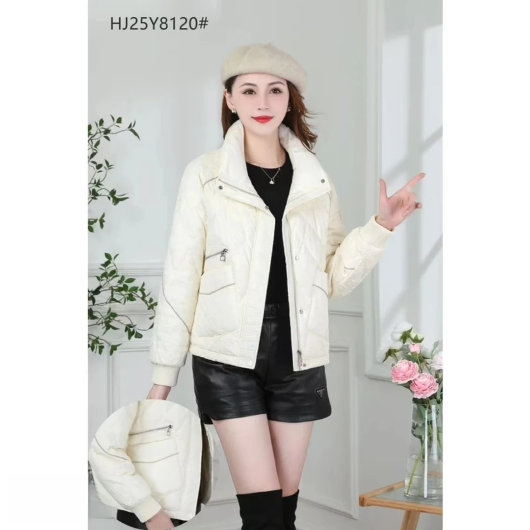 Y120秋冬修身百搭轻薄立领常规款厚款短款常规袖