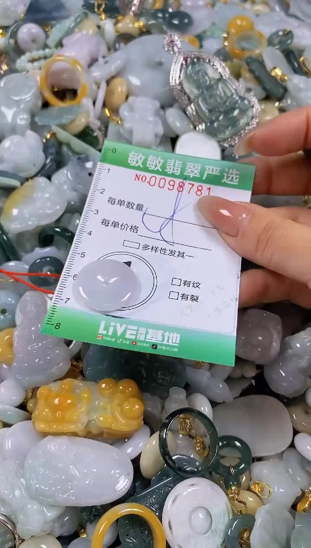 【闪购商品】翡翠颈饰未镶嵌闪购0098781