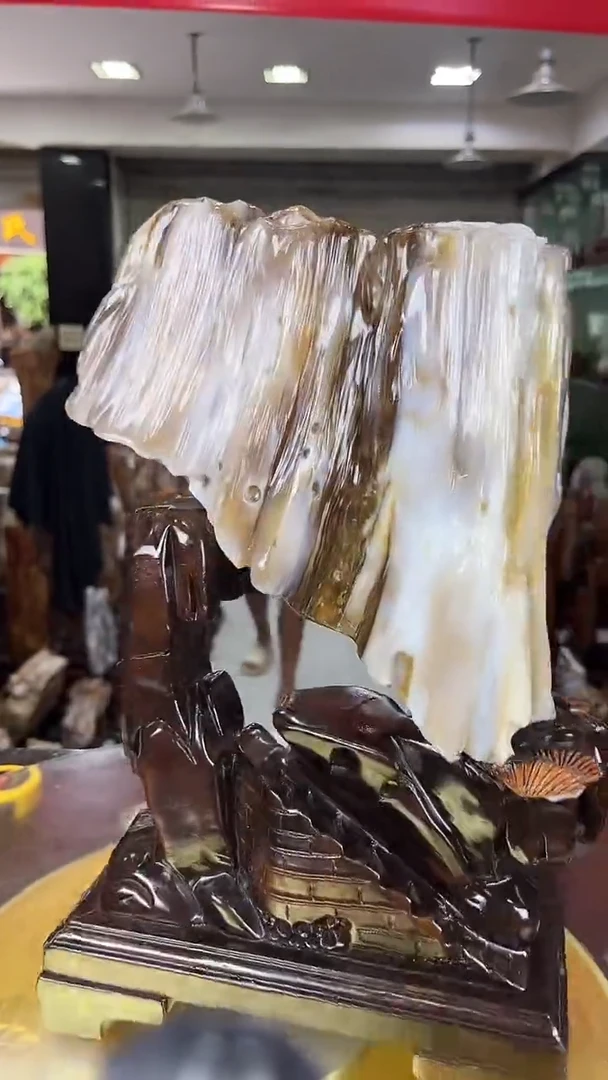 硅化玉珠宝奇石未镶嵌缅甸天然树化玉