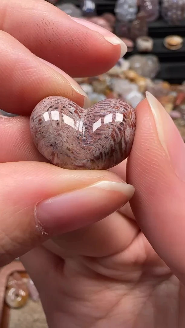 颈饰未镶嵌硅化珊瑚（珊瑚玉）810