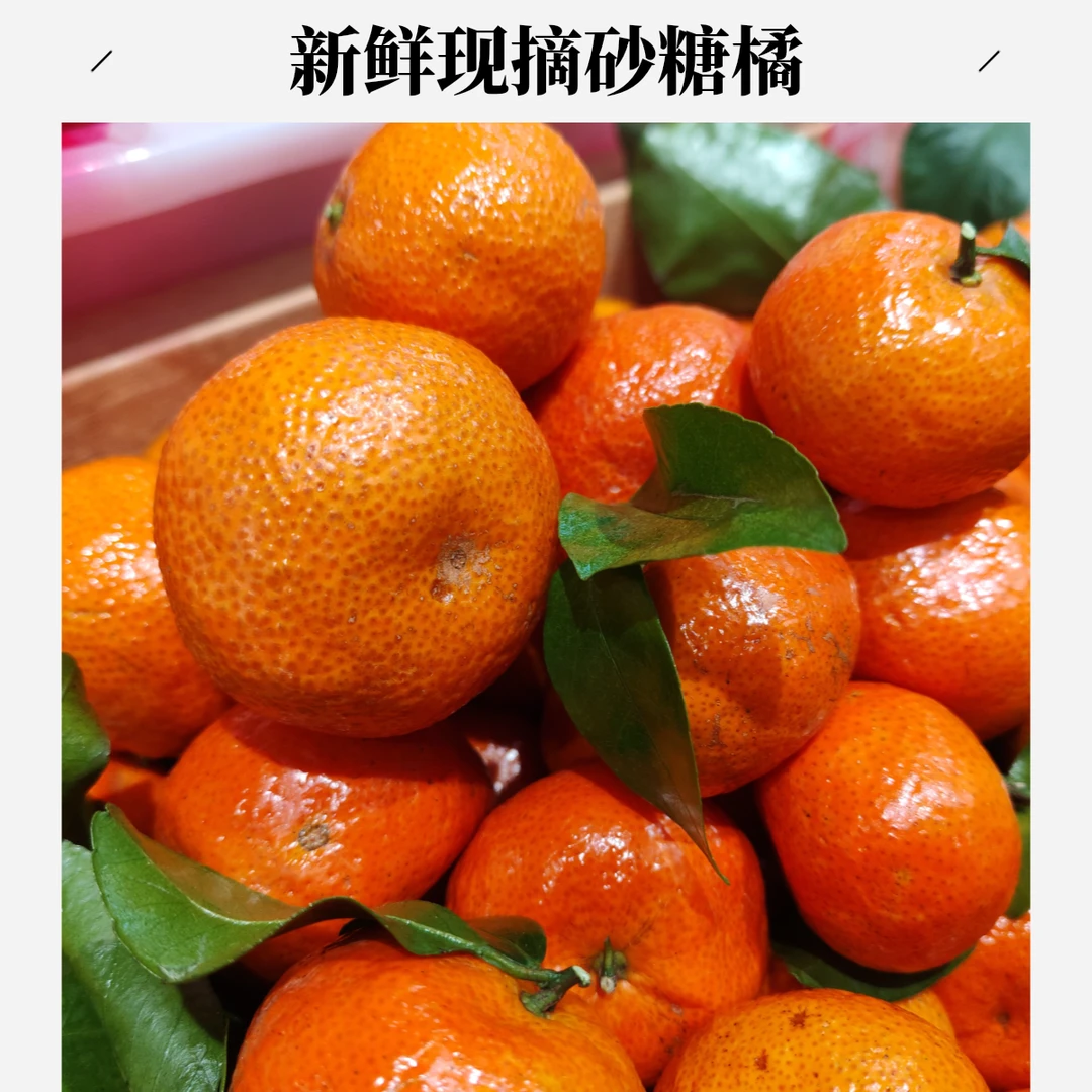 精品砂糖桔 5斤（水果）（广西）