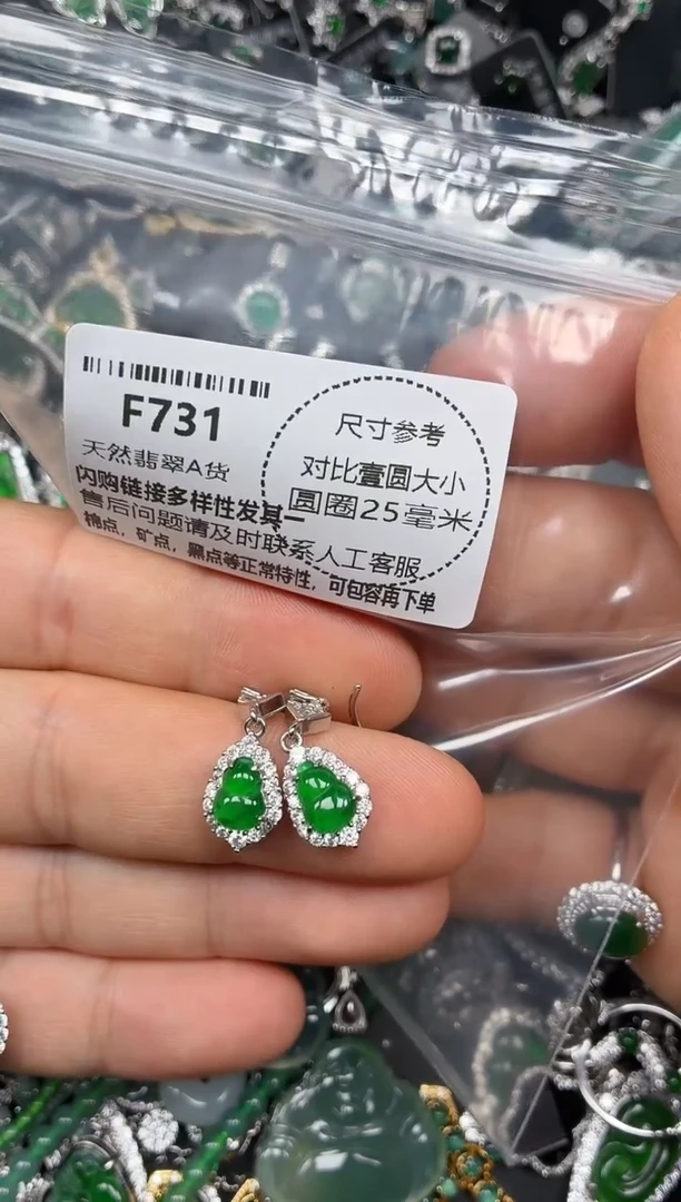 颈饰未镶嵌翡翠F731耳钩