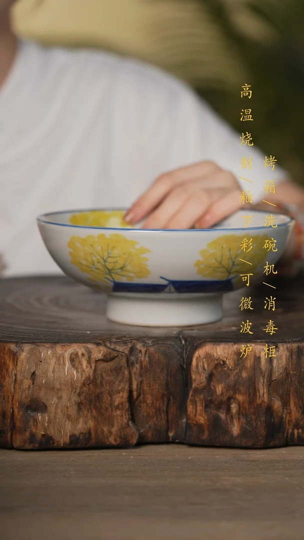 瓷片景德镇高温釉下彩可微波烤箱洗碗机