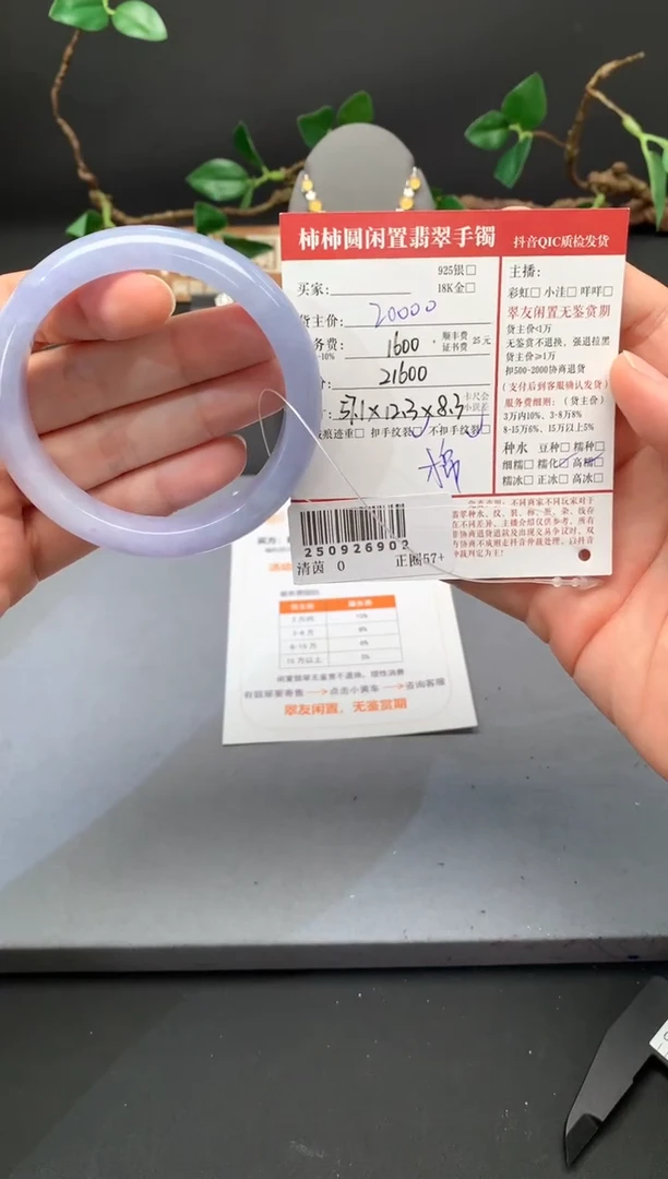 未镶嵌手镯翡翠姐姐250926902