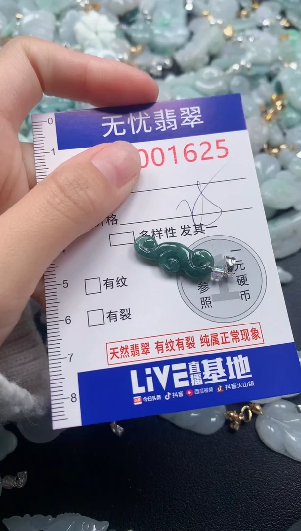 颈饰未镶嵌翡翠1625