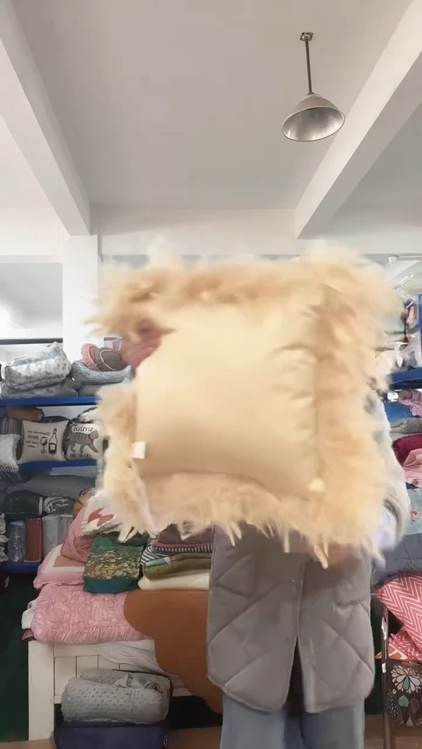 棉棉A21 抱枕发一个