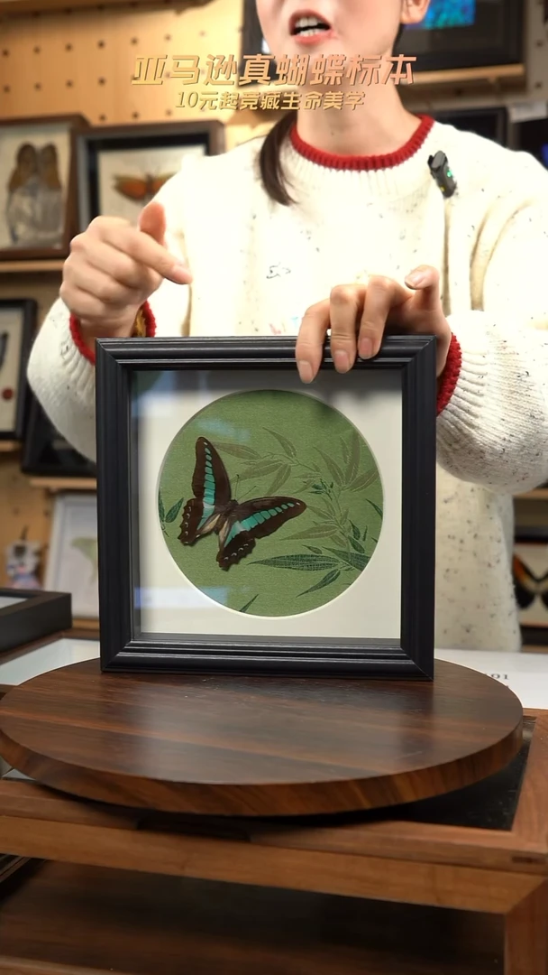 青凤蝶竹子布料底8寸方框