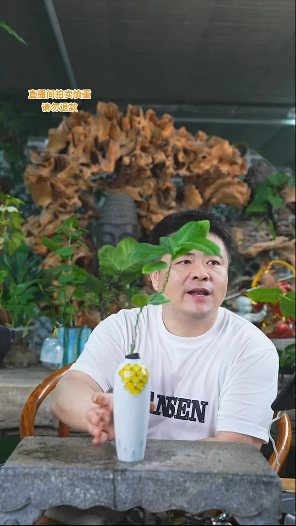 完全开放香水柠檬205+