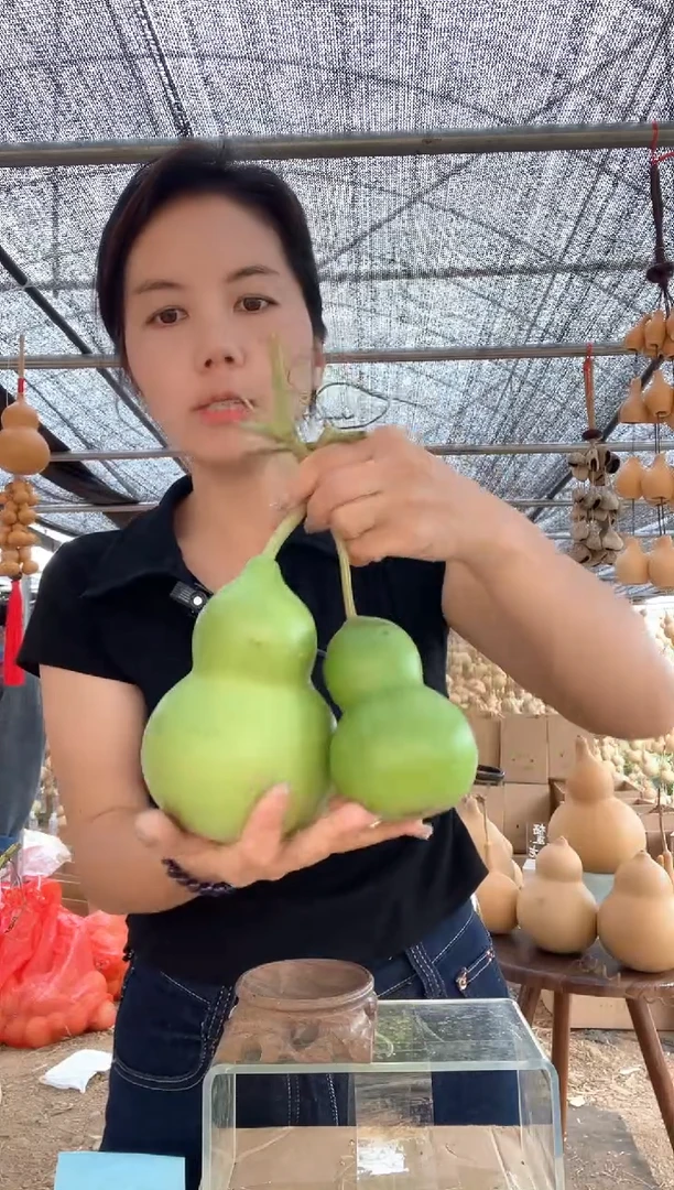 945天然葫芦摆件 一物一拍龙头不保售后微瑕疵两个