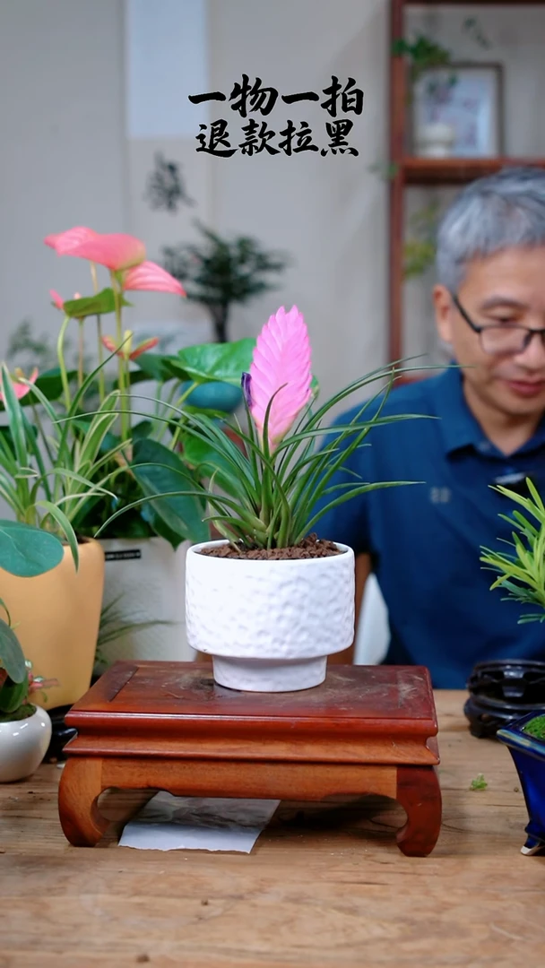 完全开放程*铁兰340