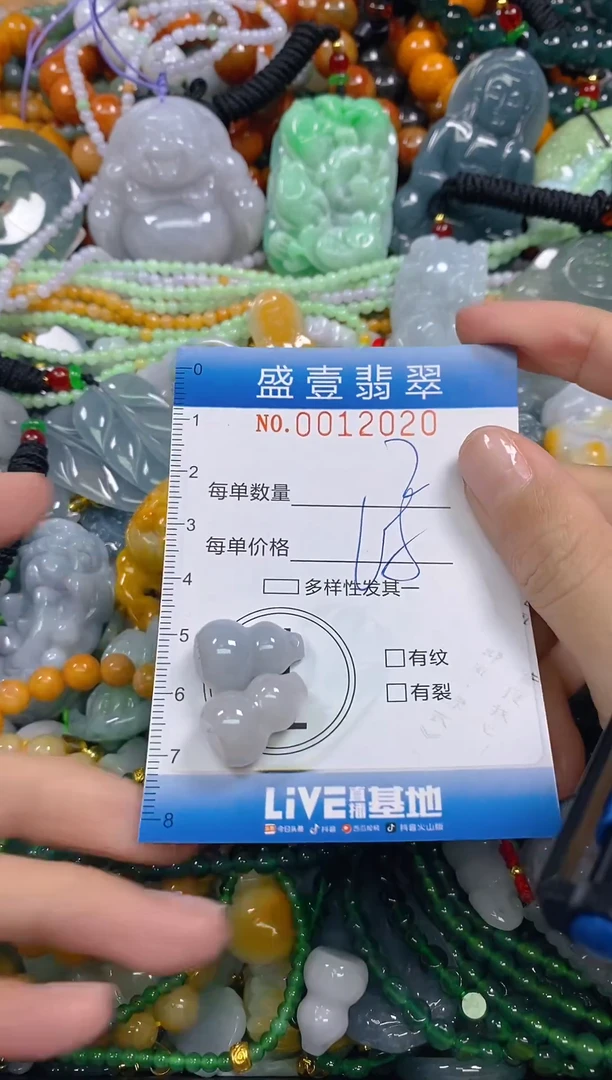 颈饰未镶嵌翡翠闪购0012020