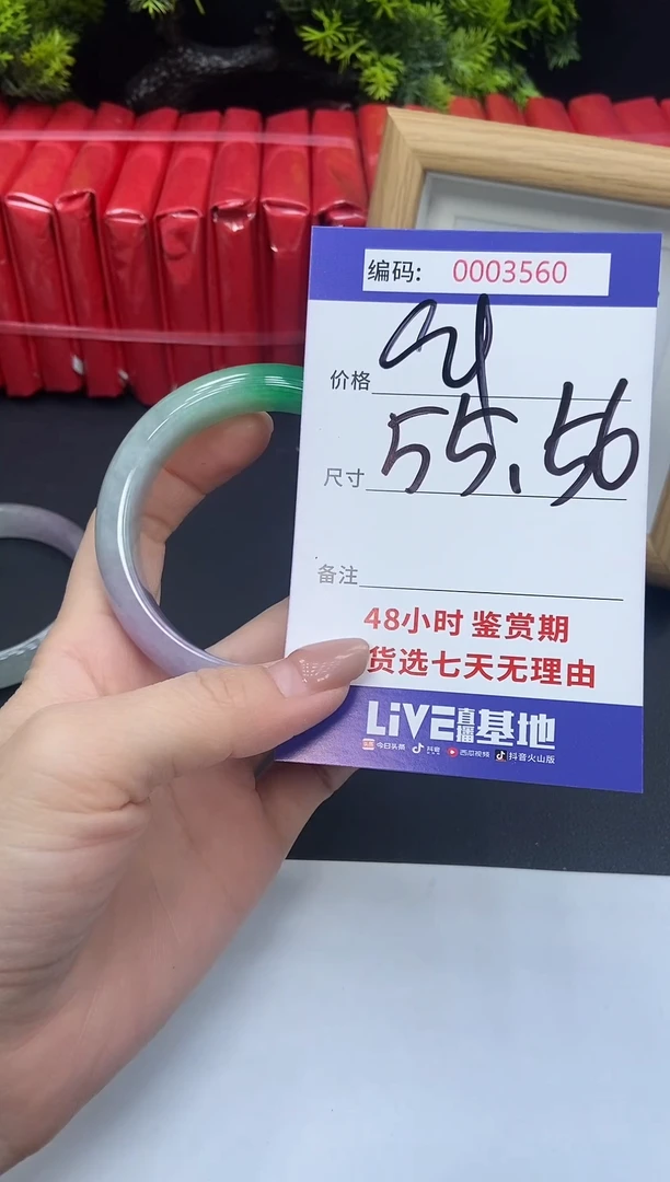 未镶嵌手镯翡翠0003560