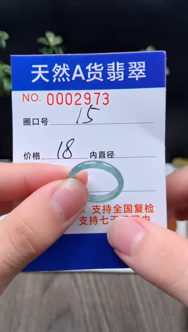 未镶嵌戒指翡翠15#
