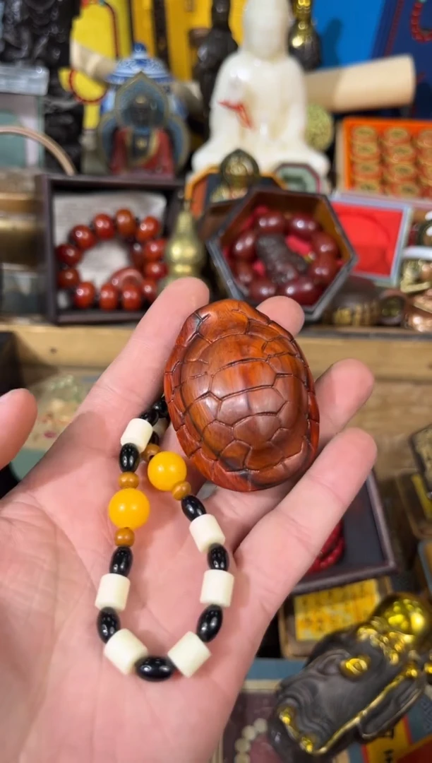 【闪购商品】龙龙龙龙龙龙龙龙