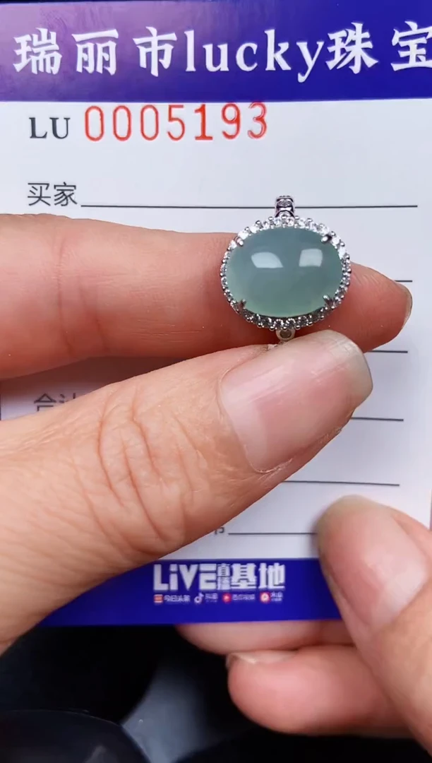 翡翠银S925镶嵌颈饰5193