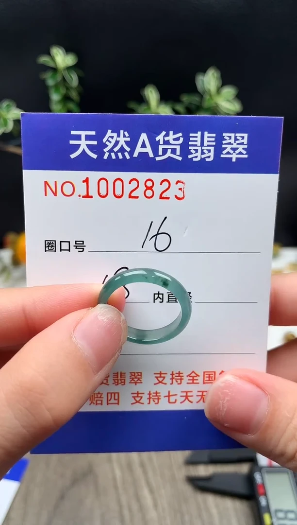 未镶嵌戒指翡翠16#