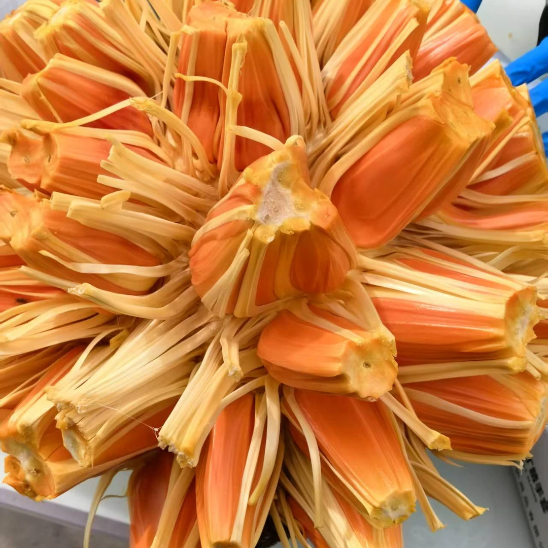 【去芯带皮】一物一拍印尼红肉菠萝蜜越南