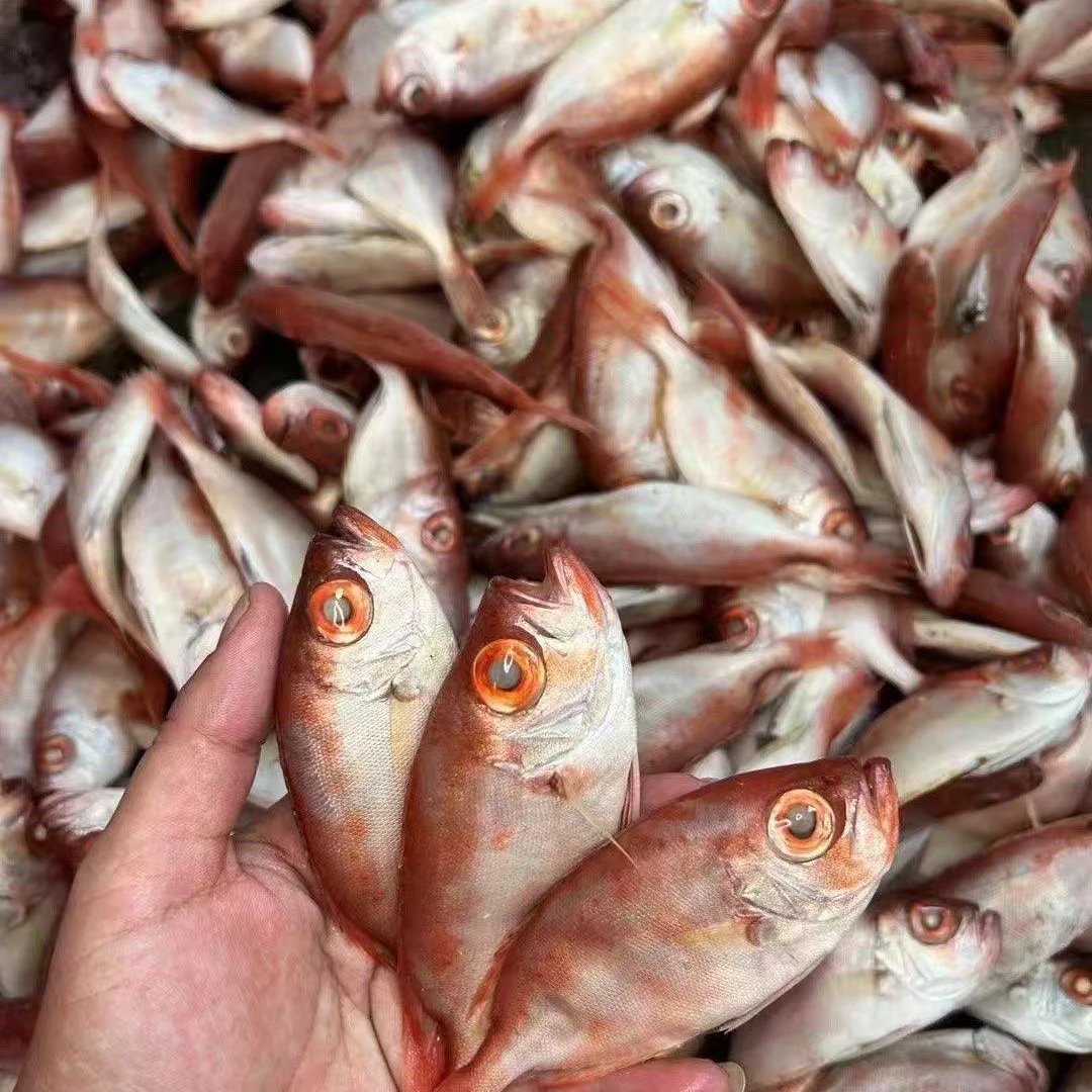 5.【样样好】精选海鲜五月海鱼套餐10