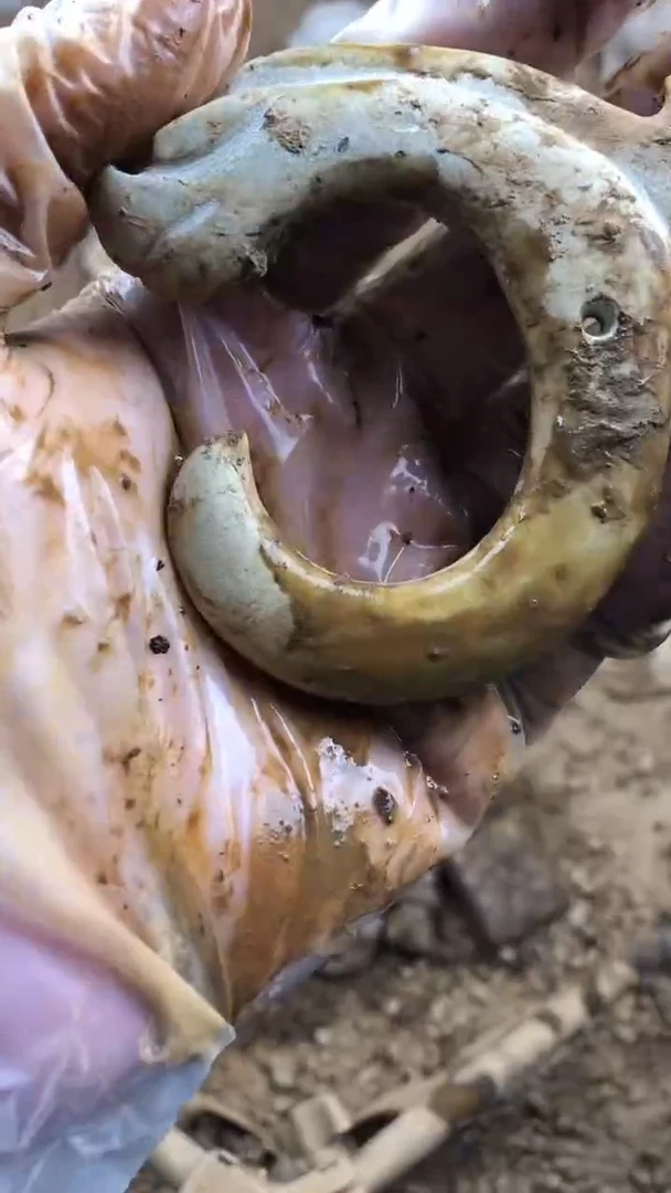 未镶嵌和田玉挂件1