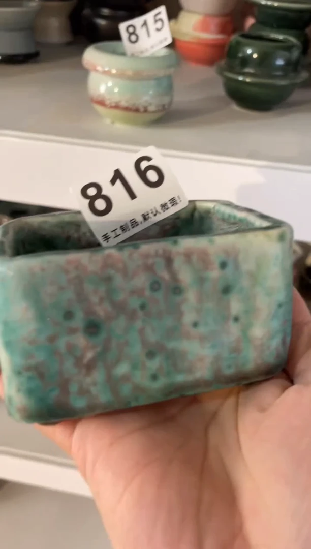 【闪购商品】摆件816小芳花盆直播编号