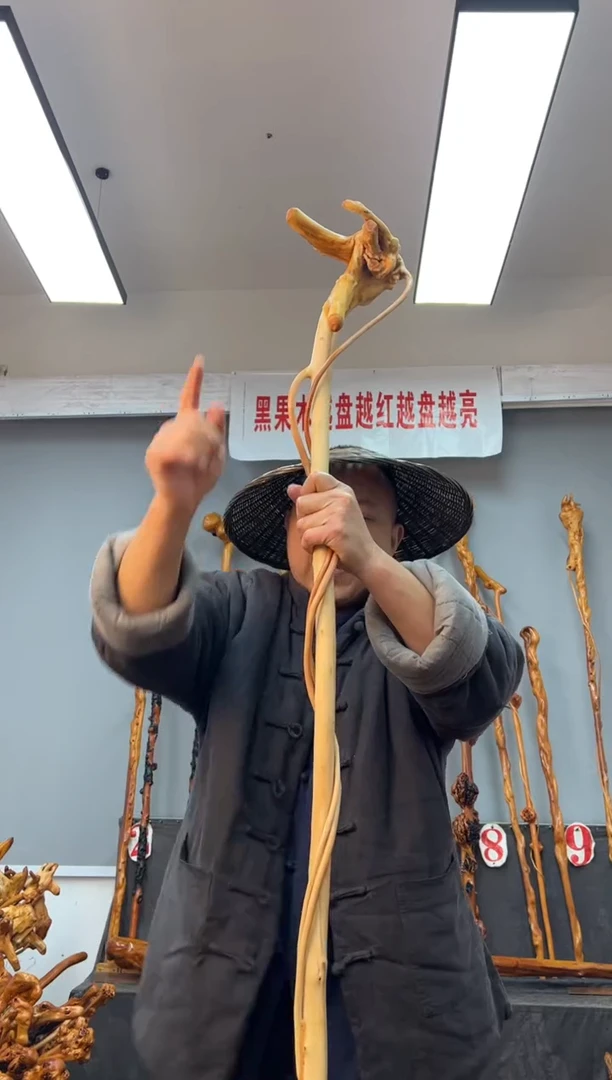 【闪购商品】黑果木其他黑果木458