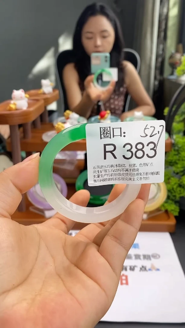 翻****娥R383专拍链接一物一拍以截图为准