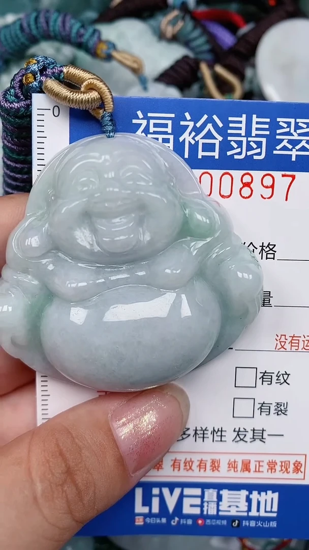 翡翠未镶嵌颈饰...0000897