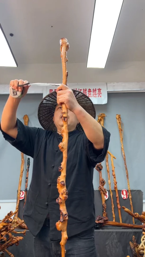 【闪购商品】黑果木其他黑果木858