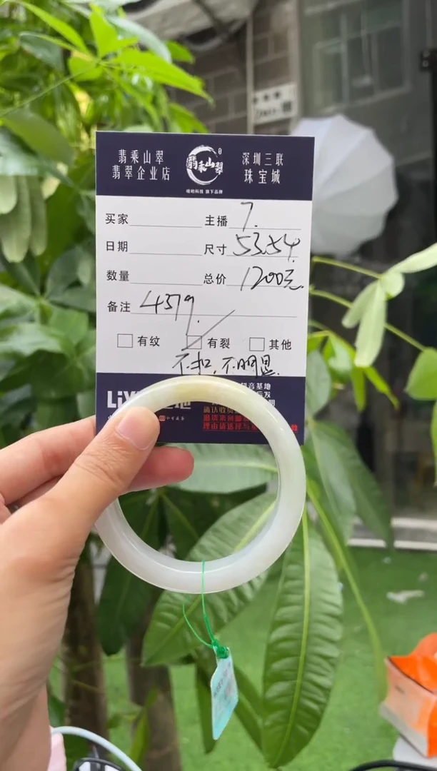 未镶嵌手镯翡翠Q 53正圈 4379