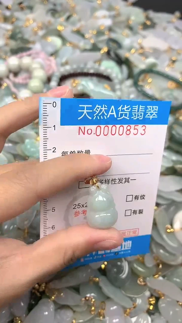 颈饰未镶嵌翡翠净货挂件-0853