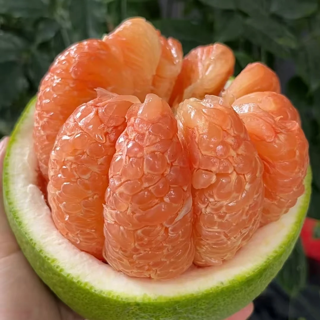 小个【散装】[N]泰柚 份/3颗 仅限太原晋中吕梁忻州可拍