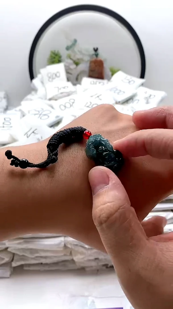 翡翠未镶嵌颈饰貔貅y