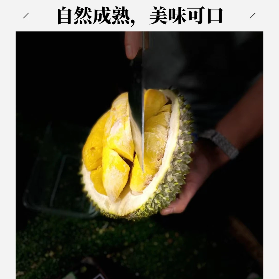 贰【次日达】马来西亚猫山王液氮榴莲3斤以上猫山王马来西亚