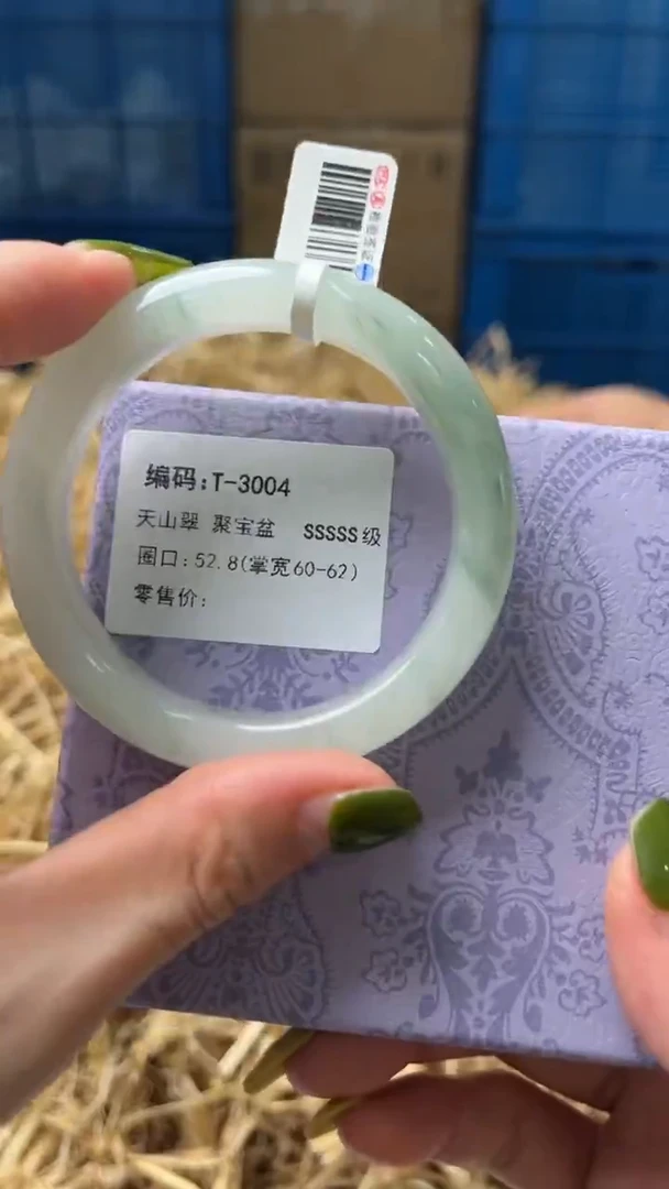 未镶嵌手镯石英质玉T3004