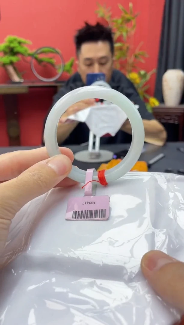 未镶嵌手镯翡翠8