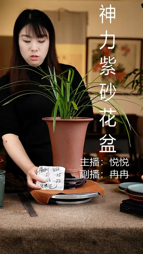 紫砂花盆花卉工艺8166+s