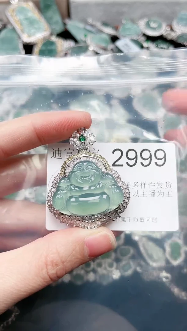 【闪购商品】翡翠颈饰未镶嵌赠皮绳2999
