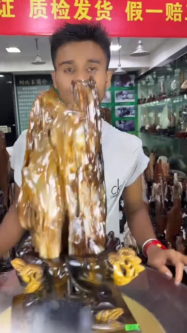 未镶嵌珠宝奇石硅化玉缅甸天然树化玉摆件