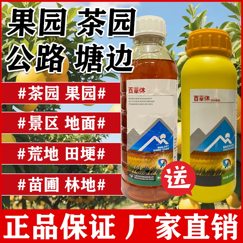 厂家直销百休草品质保证果园茶园田埂荒地全新升级加强版正品