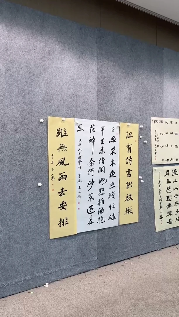 【闪购商品】书法pmw不二轩旗舰店书法WXD33