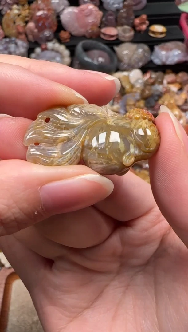 颈饰未镶嵌硅化珊瑚（珊瑚玉）862