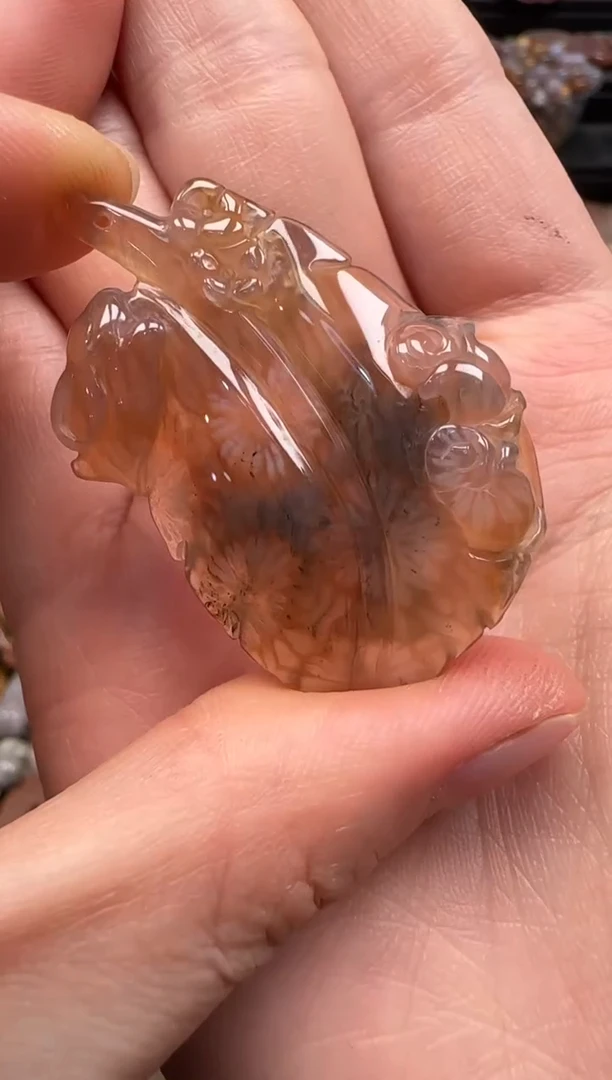 【闪购商品】硅化珊瑚（珊瑚玉）颈饰未镶嵌656