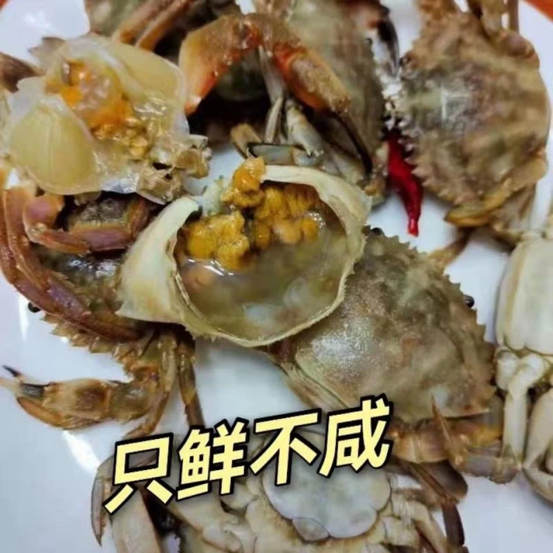 羊口小旭水产 生呛花盖 童蟹 火燎蟹【嫌小的勿拍】