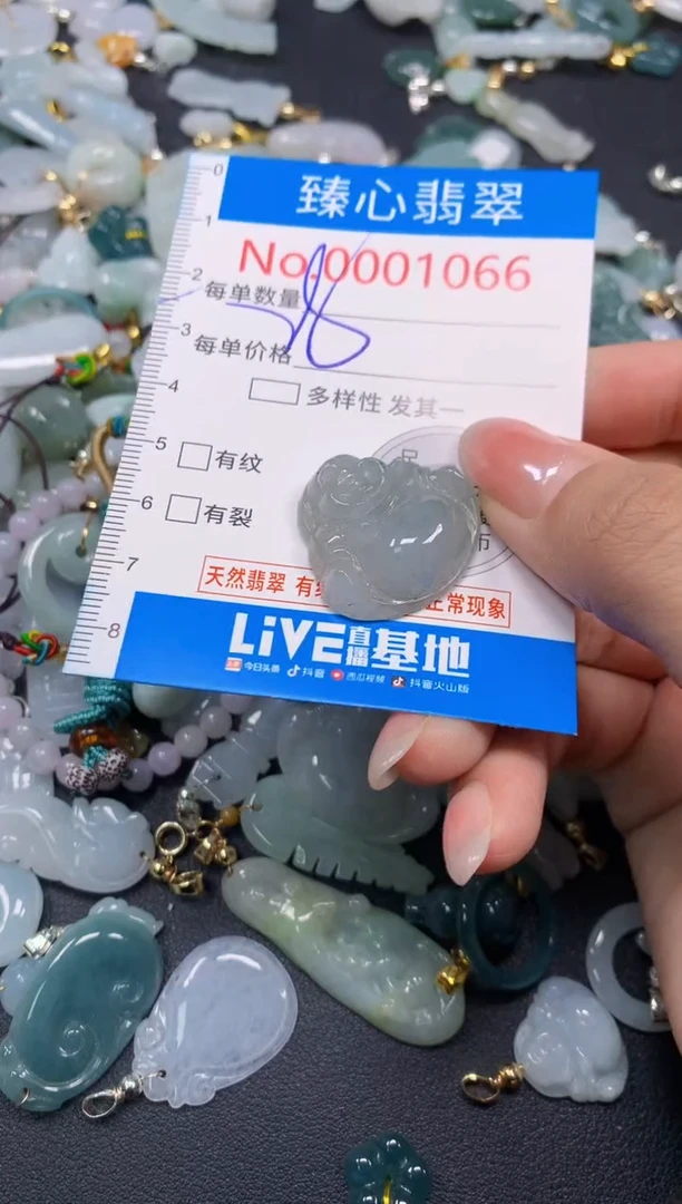 颈饰未镶嵌翡翠1066