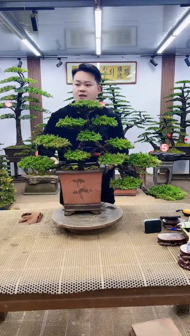 【闪购商品】00一物一拍，所见即所得