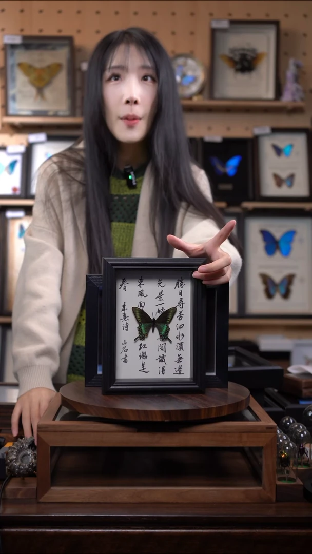 绿带翠凤蝶春型书法版