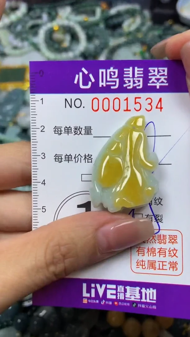 翡翠未镶嵌颈饰闪购001534