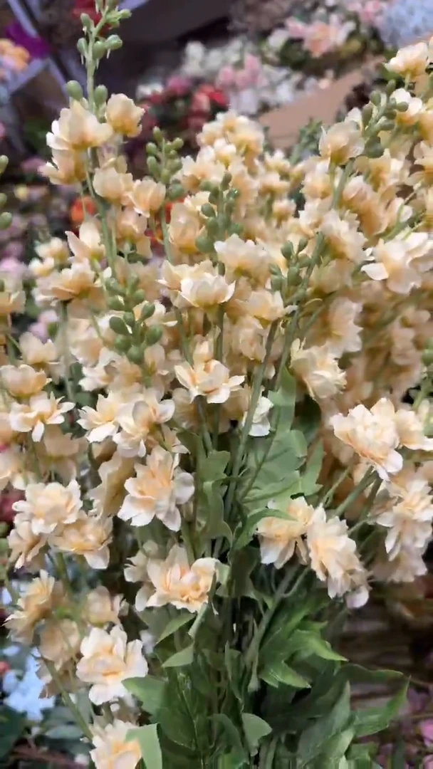 妍韵直播福利仿真花64